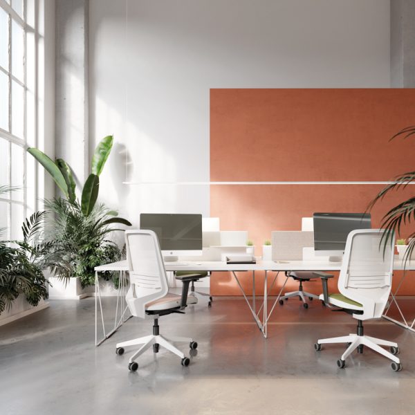 dot pro forma 5
