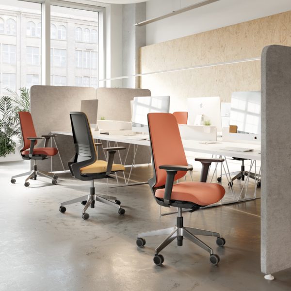 dot pro forma 5