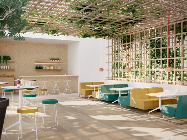 Let’s Sit Forma 5